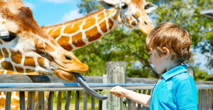 mit Kindern im Zoo