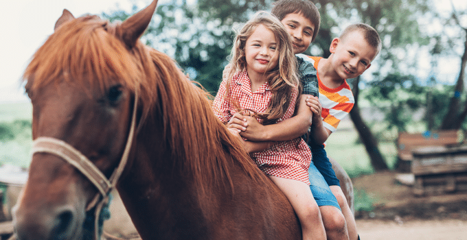 Pferde als Motto für den Kindergeburtstag