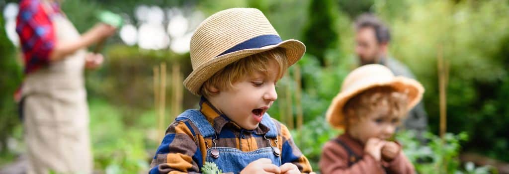 Rezepte für den Bauernhof Kindergeburtstag: Ein unvergessliches Erlebnis für Kinder